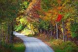 Autumn Backroad_22996